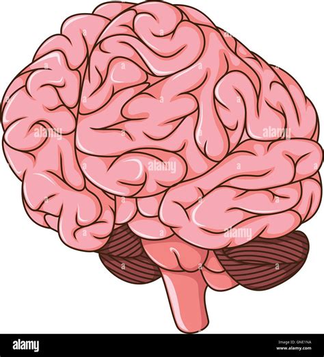 Image result for Simple Think Cartoon Brain