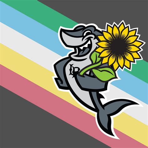 Image result for CSULB Mascot Elbee