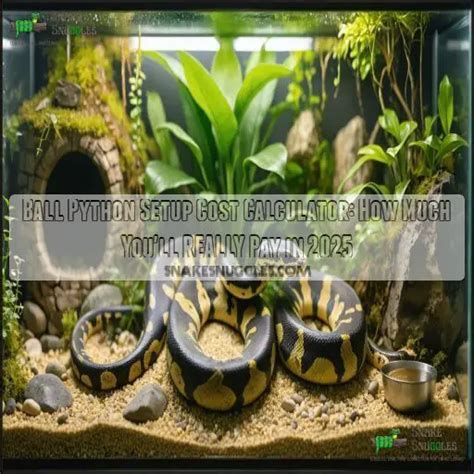 Image result for Ball Python Setup and Care