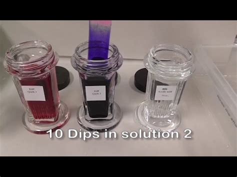 Diff Quick Stain Procedure に対する画像結果