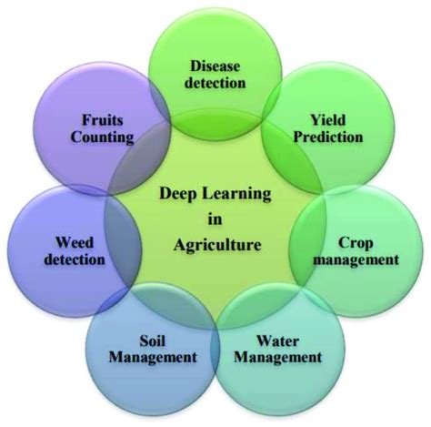 Toradh íomhá ar Real-World Applications of Deep Learning