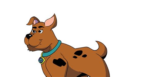 Image result for Scropy