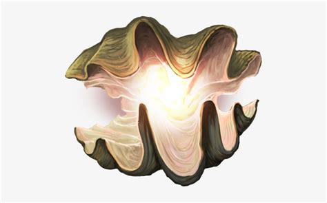 Image result for Open Giant Clam Shell