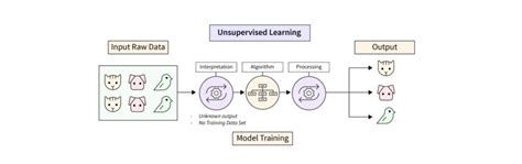 Image result for Unsupervised Learning Data