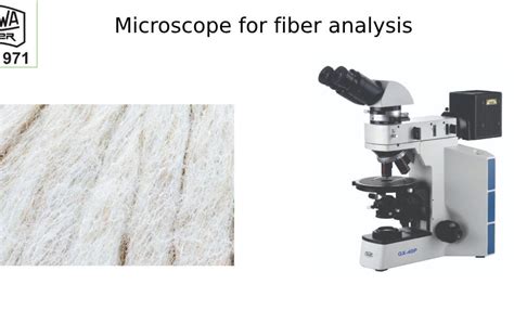 Toradh íomhá ar Particle Size Microscope