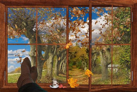 Image result for Autumn Window View