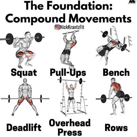 Image result for Compound Exercises
