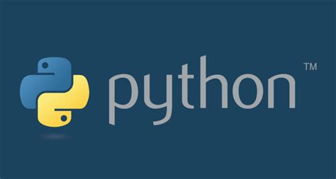 Afbeeldingsresultaten voor Python Version Manager Icon