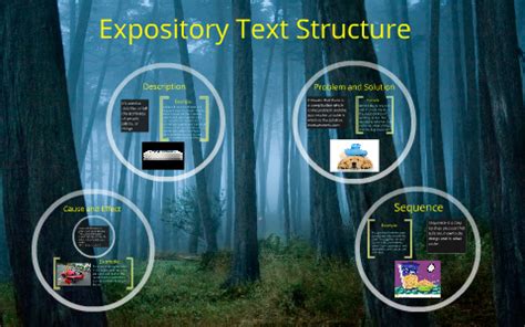 Image result for Expository Text Structure Background