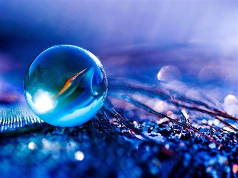 Image result for Clear Choice Sub Solution