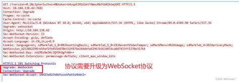 WebSocket HTTP Upgrade に対する画像結果