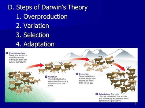 Image result for Evolutionary Steps