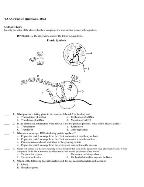 Image result for Protein Synthesis WebQuest Answer Key