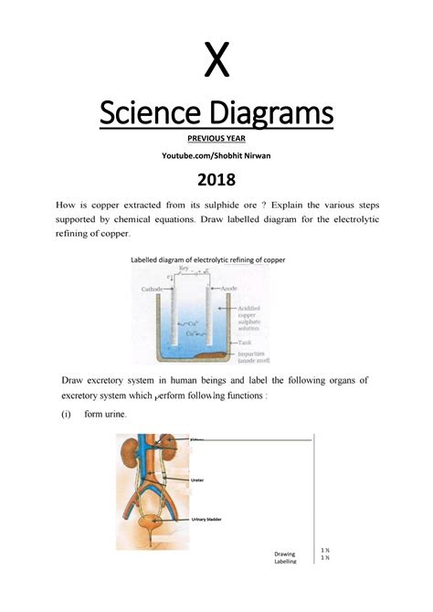 Image result for 10th Class Science Drawings