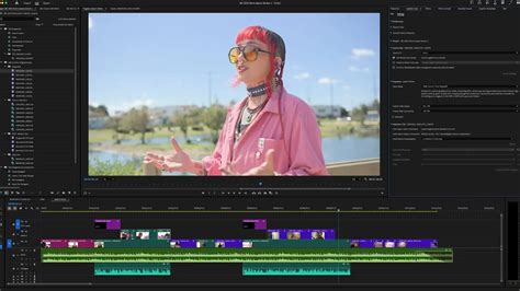 DaVinci Resolve vs Premiere Pro に対する画像結果