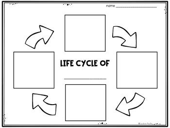 Afbeeldingsresultaten voor Copy and Paste Life Cycle Chart