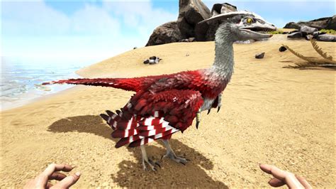 Image result for Raptor Color Schemes Ark