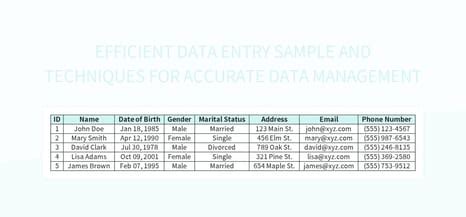 Image result for Excel Data Entry Practice