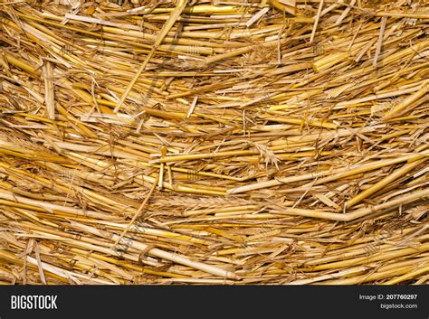 Image result for Straw Yellow Color