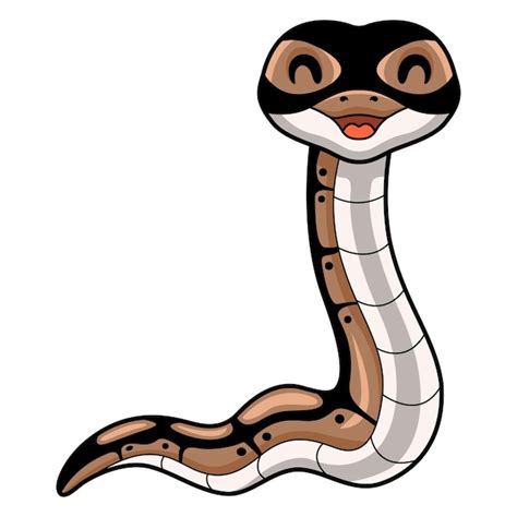 Afbeeldingsresultaten voor Cute Cartoon Drawing of Ball Python