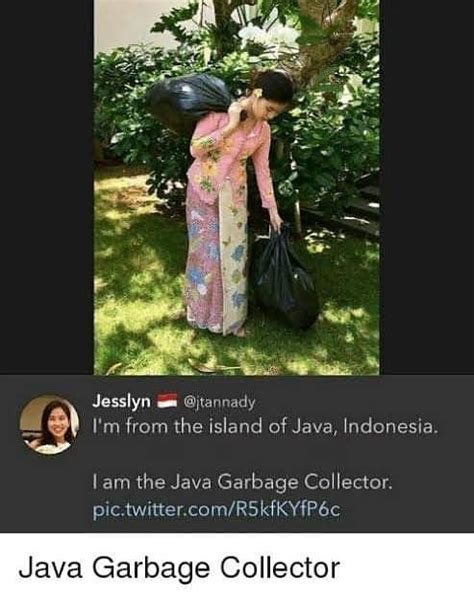 Image result for Java Garbage Collector Meme