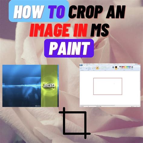 Image result for How to Crop in Paint
