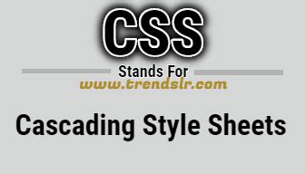 Image result for CSS Full Form