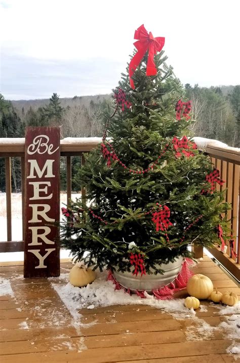 Christmas Tree Outdoor に対する画像結果