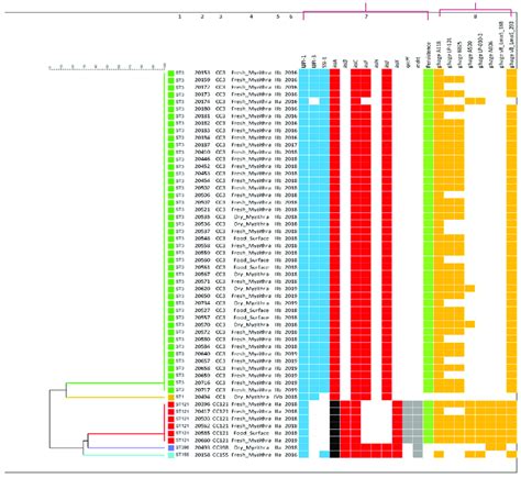 Toradh íomhá ar Complex Dendrogram