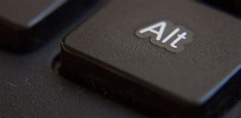 Alt Code Brain ಗಾಗಿ ಇಮೇಜ್ ಫಲಿತಾಂಶ