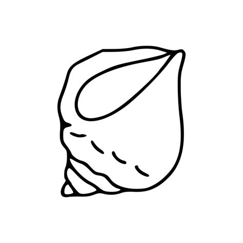 Solid Color Cartoon Shell に対する画像結果