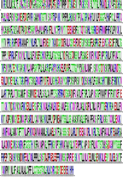 Image result for Protein Sequence Alignment Graphical Representation