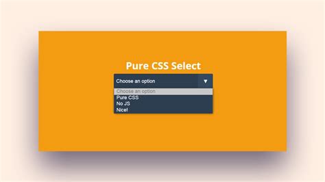 Image result for Select a Number CSS