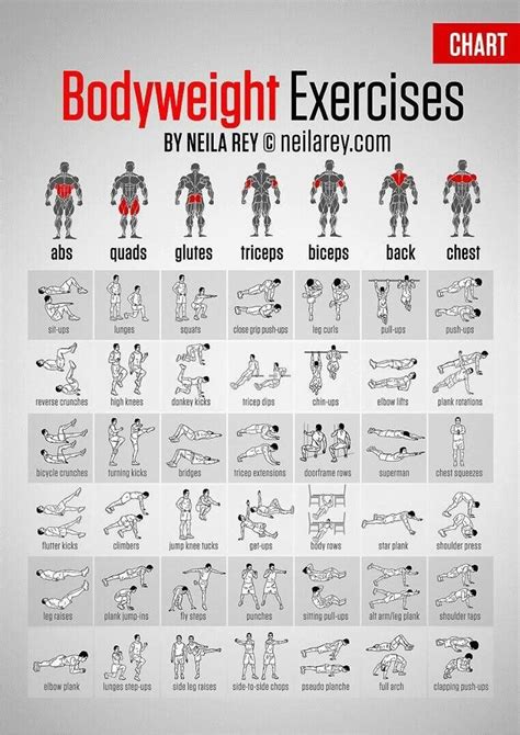 Image result for Exercise Muscles Worked