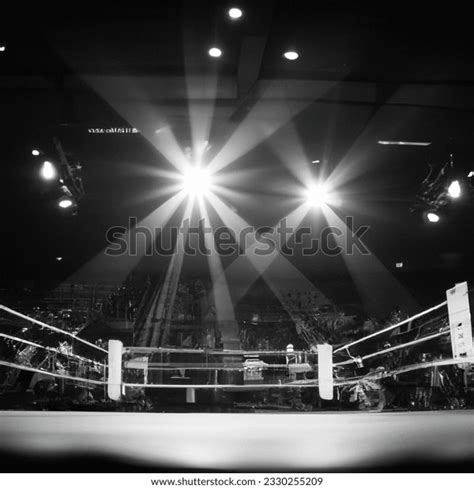 Showtime Boxing Arena Lights に対する画像結果