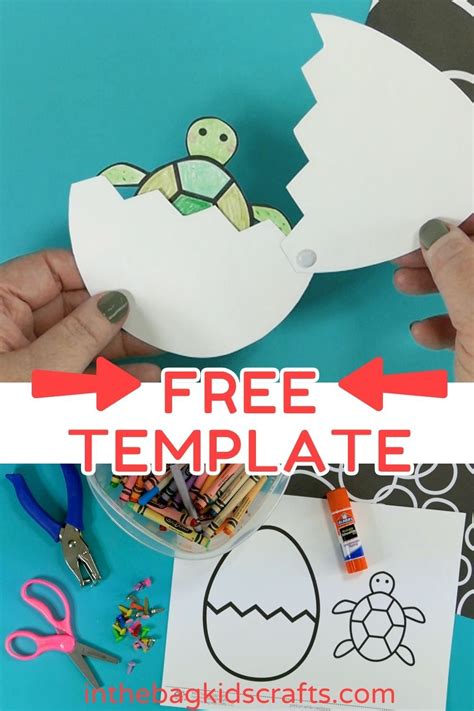 Turtle Shell Craft Printable ಗಾಗಿ ಇಮೇಜ್ ಫಲಿತಾಂಶ