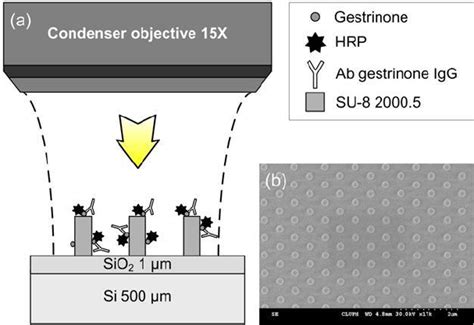 Image result for Nano Array