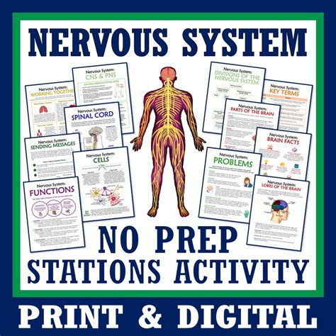 Afbeeldingsresultaten voor Mathematical System Activity