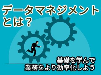 Data Management Program に対する画像結果