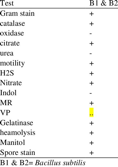 Image result for Bacillus Subtilis Identification