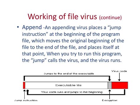 Virus File に対する画像結果