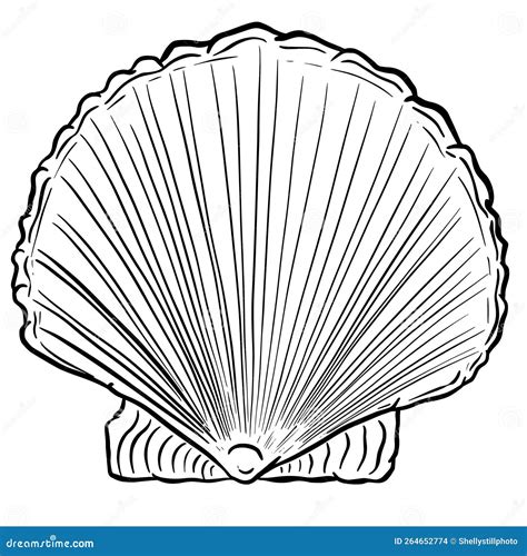 Afbeeldingsresultaten voor Sculpures Conch Shell