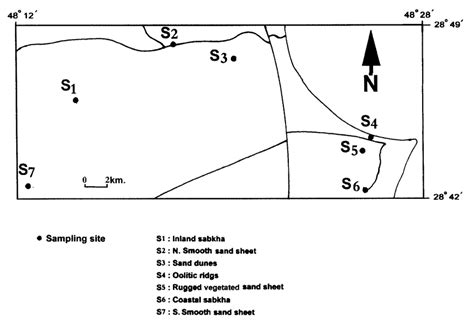 Systematic Sampling Map に対する画像結果
