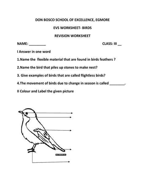 Image result for Bird Classification Worksheet