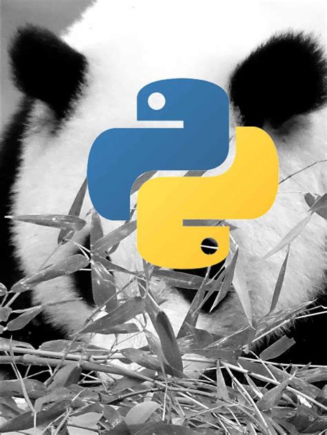 Pandas in Python and More Library に対する画像結果