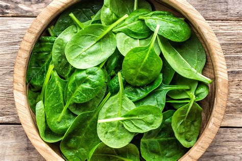 Image result for Spinach Leaves Images without Colour