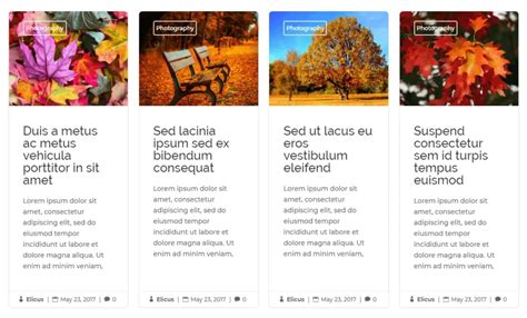 Image result for Divi Blog Post Layout Ideas