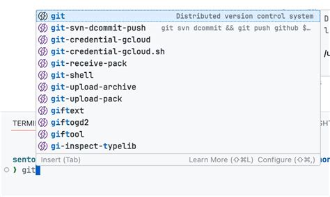 Terminal CodePen-க்கான படிம முடிவு