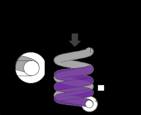 Image result for Spring Coil Shape