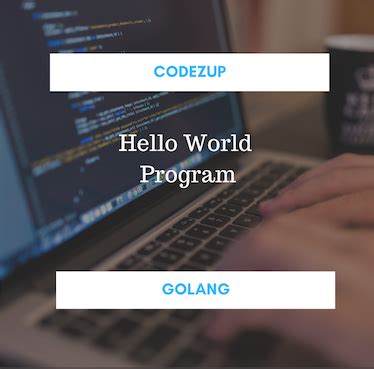 Image result for Go Program Entry